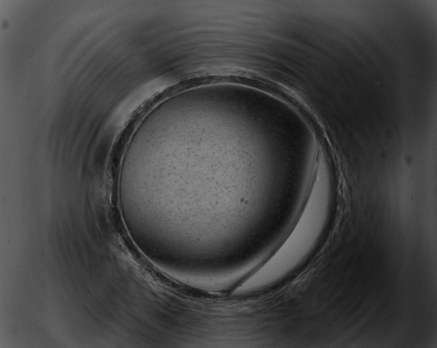 X0000051860979200507012336