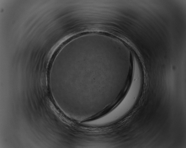 X0000051860980200507012336