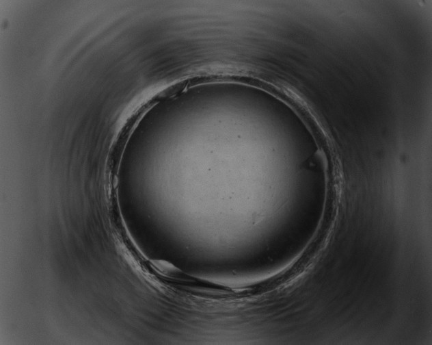 X0000051860981200507012336