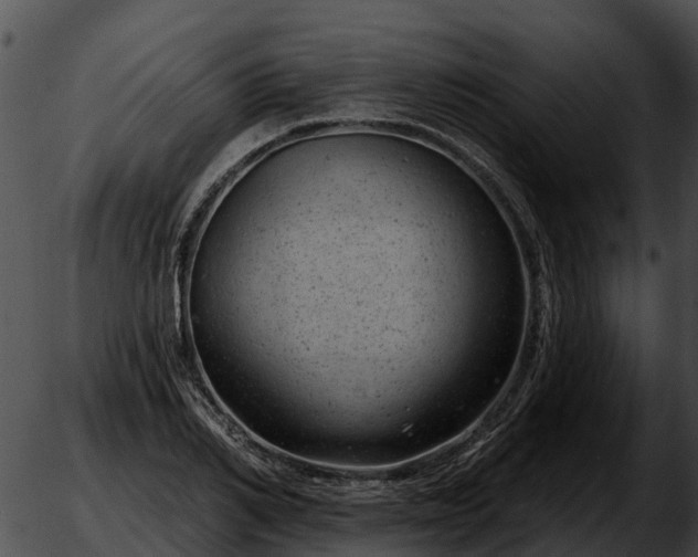 X0000051860982200507012336