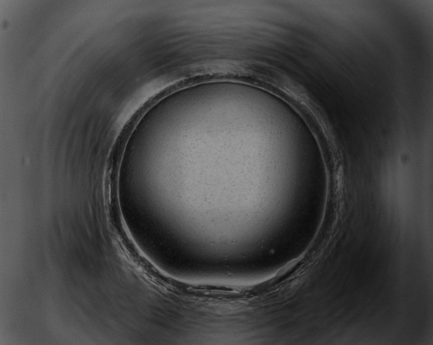 X0000051860983200507012336