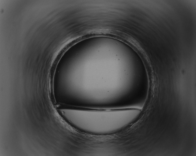 X0000051860984200507012336