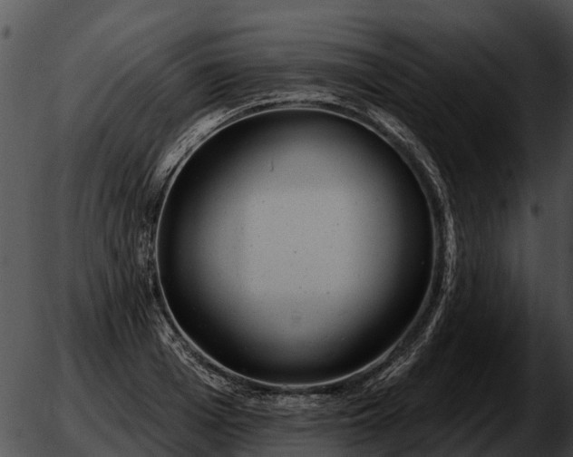 X0000051860985200507012336