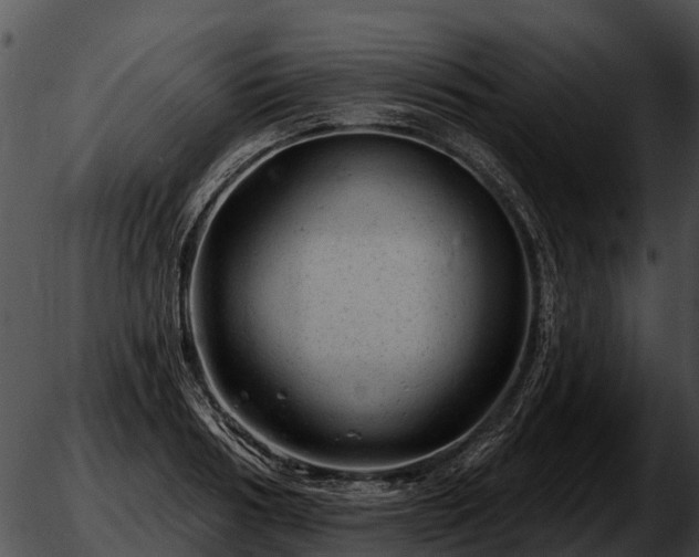 X0000051860986200507012336