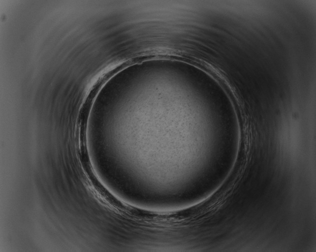 X0000051860987200507012336