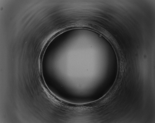 X0000051860988200507012336