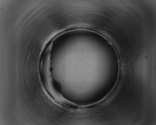 X0000051860989200507012336