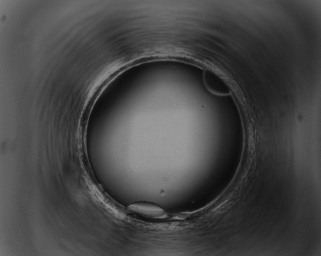 X0000051860990200507012336