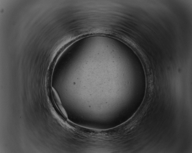 X0000051860991200507012336