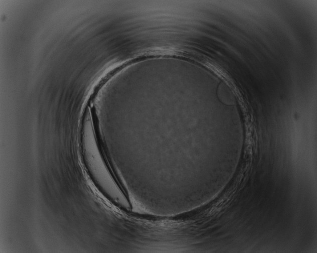 X0000051860992200507012336