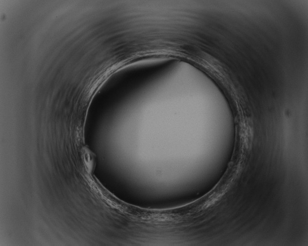 X0000051860993200507012336