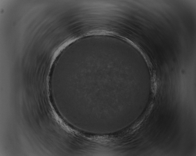 X0000051860995200507012336