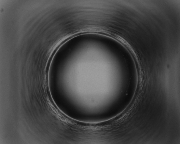 X0000051860996200507012336