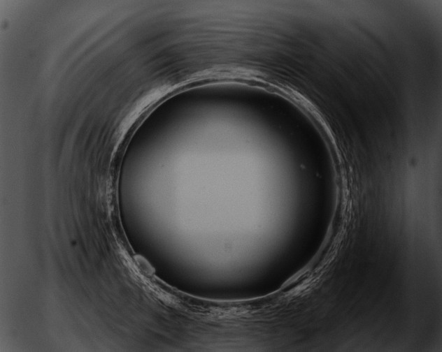 X0000051860997200507012336