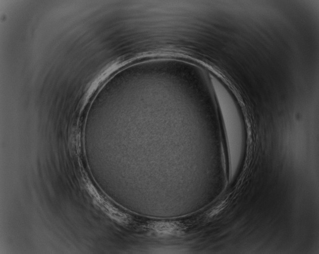 X0000051860998200507012336