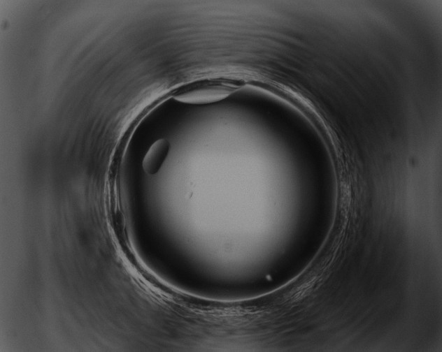 X0000051860999200507012336