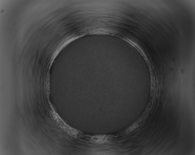 X0000051861000200507012336