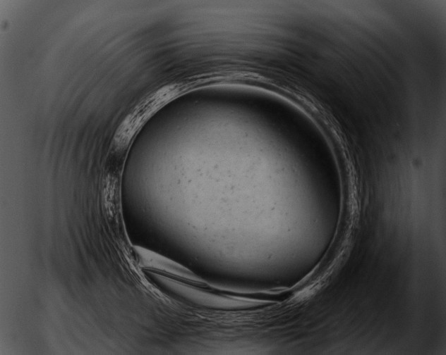 X0000051861001200507012336