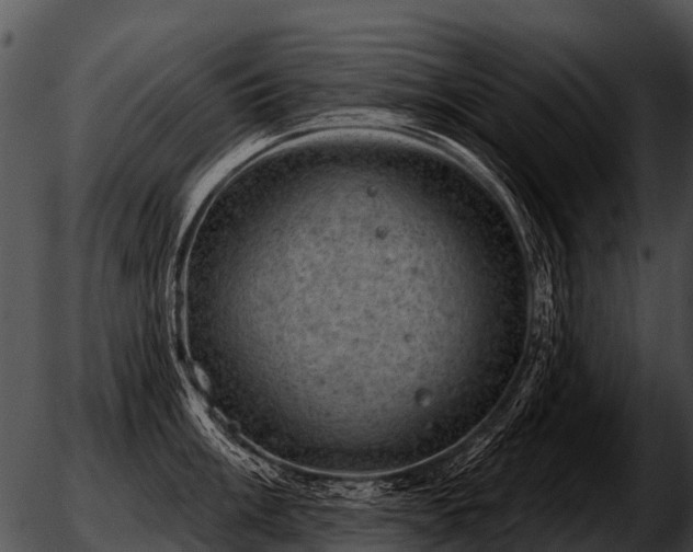 X0000051861003200507012336