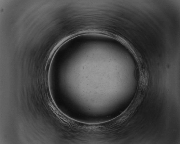 X0000051861004200507012336