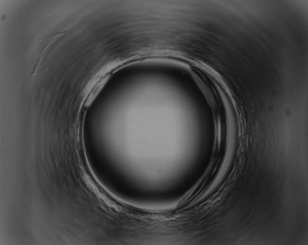 X0000051861005200507012336