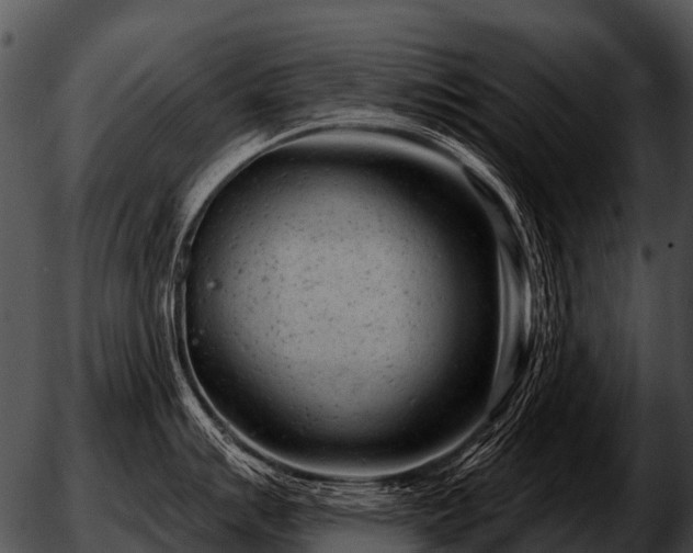 X0000051861007200507012336