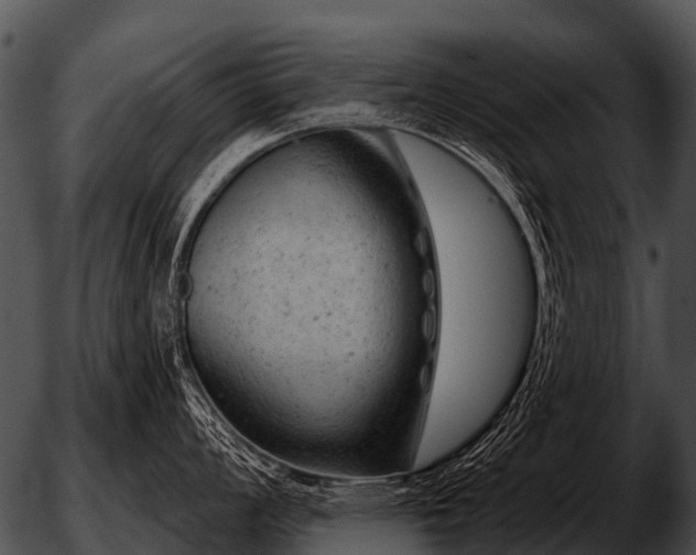 X0000051861008200507012336