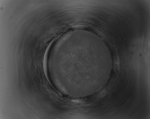 X0000051861010200507012335