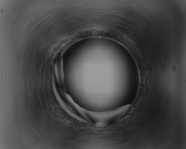 X0000051861014200507012335