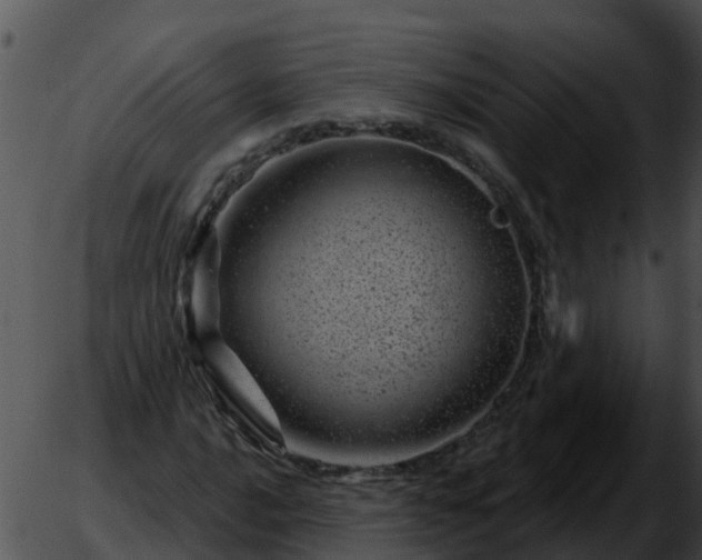 X0000051861016200507012335