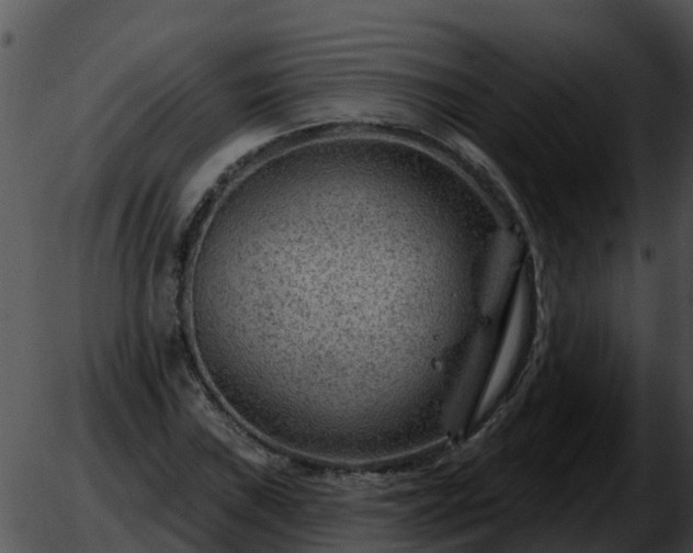 X0000051861019200507012335