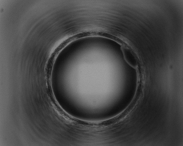 X0000051861022200507012335