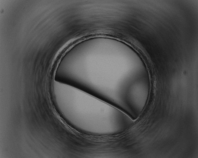 X0000051861024200507012335