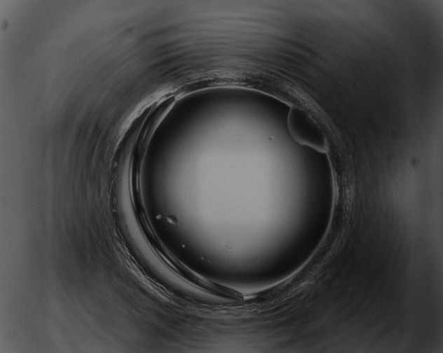 X0000051861026200507012335