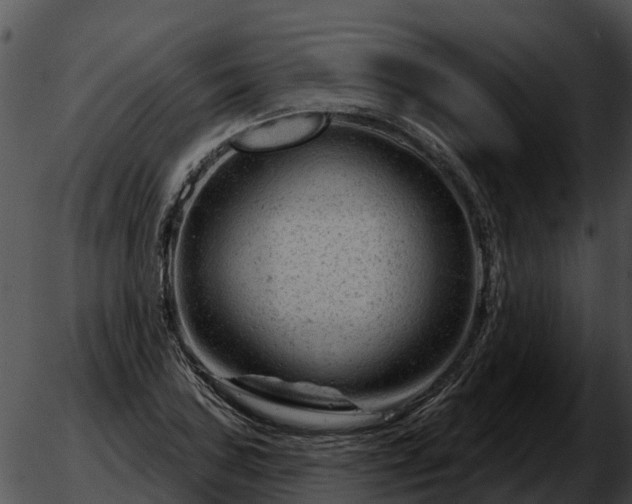 X0000051861027200507012335