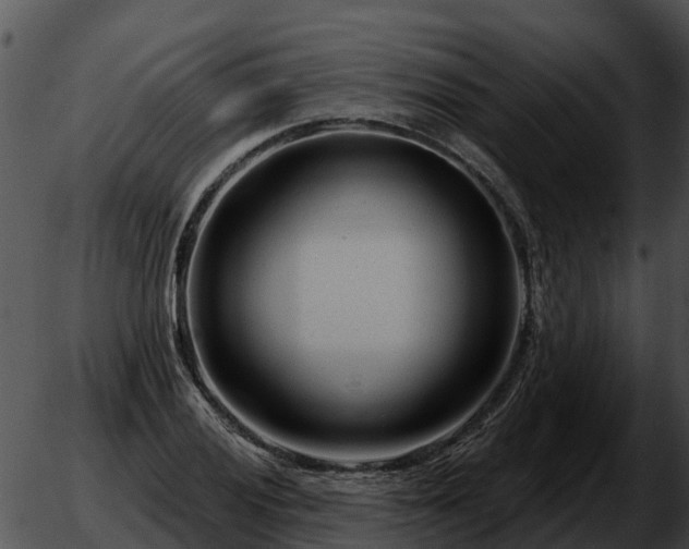 X0000051861028200507012335