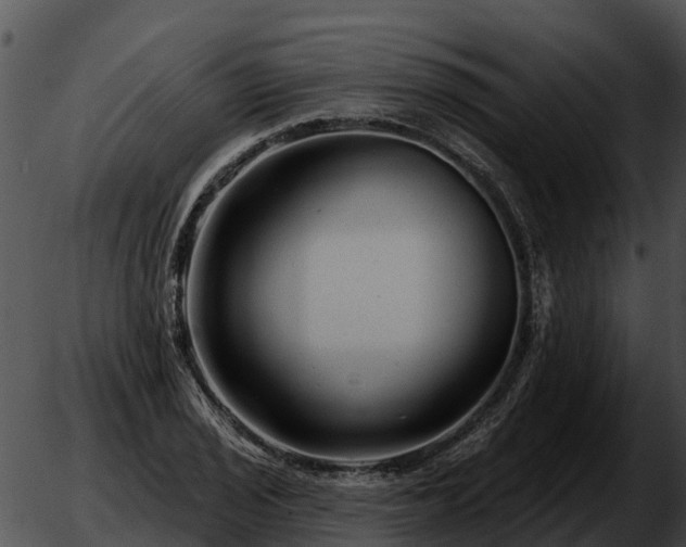 X0000051861029200507012335