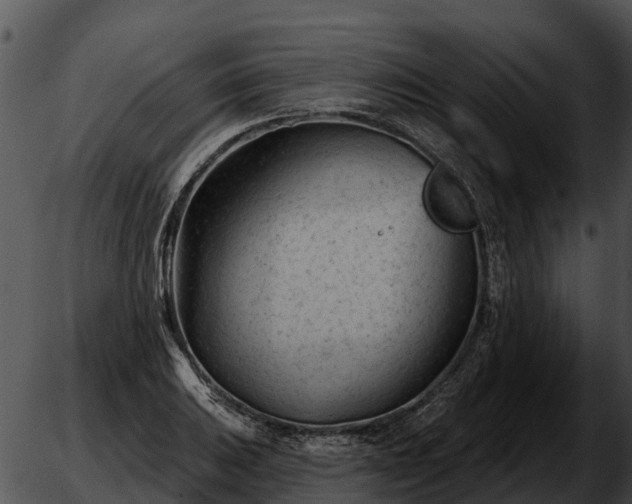 X0000051861031200507012335