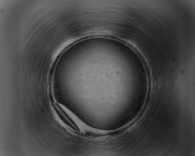 X0000051861038200507012335