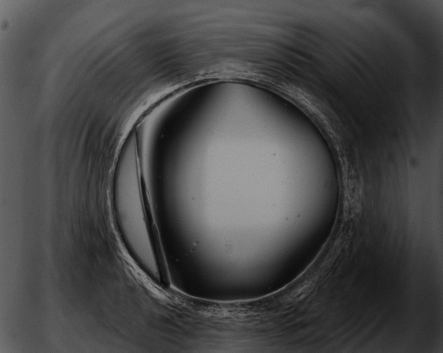 X0000051861040200507012335