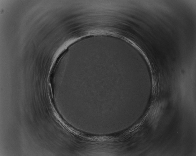 X0000051861045200507012335