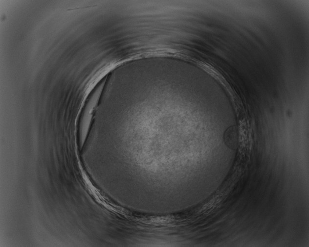 X0000051861047200507012335