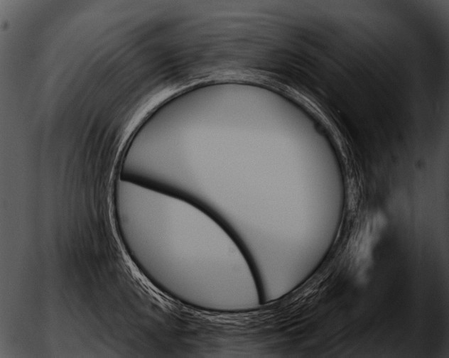 X0000051861048200507012335