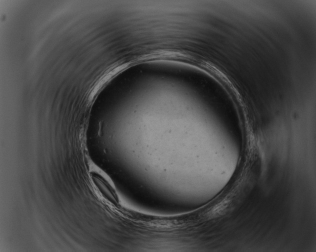 X0000051861049200507012335