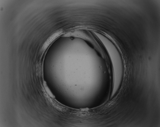 X0000051861050200507012335