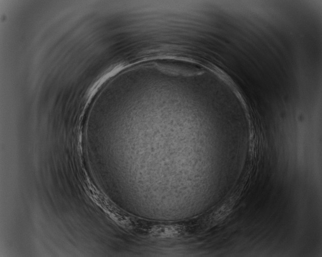 X0000051861051200507012336