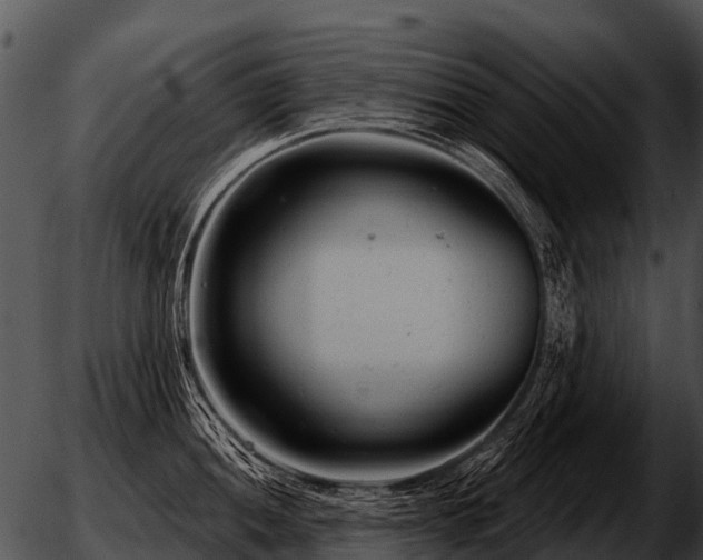 X0000051861052200507012336