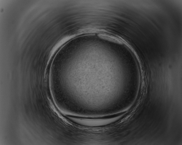 X0000051861053200507012336