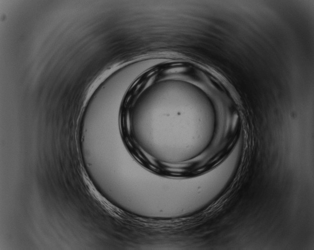 X0000051861054200507012336