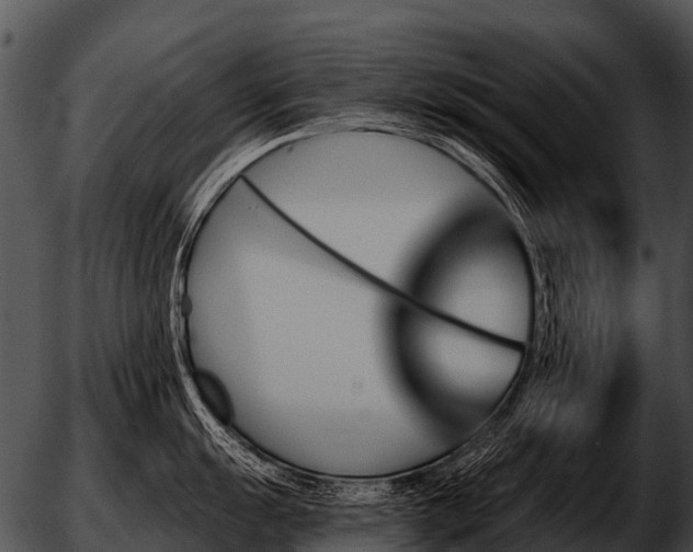 X0000051861055200507012336